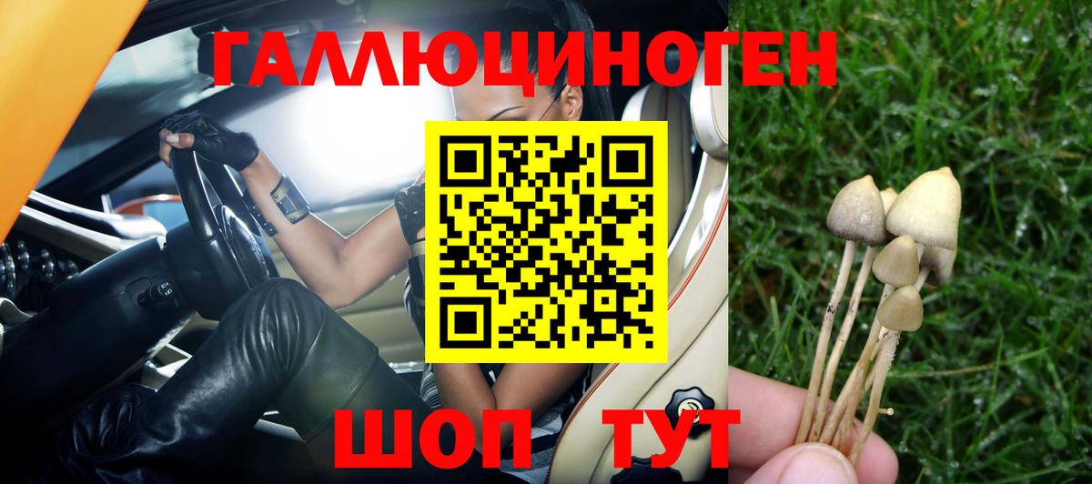 Галлюциногенные грибы прущие грибы Жигулёвск