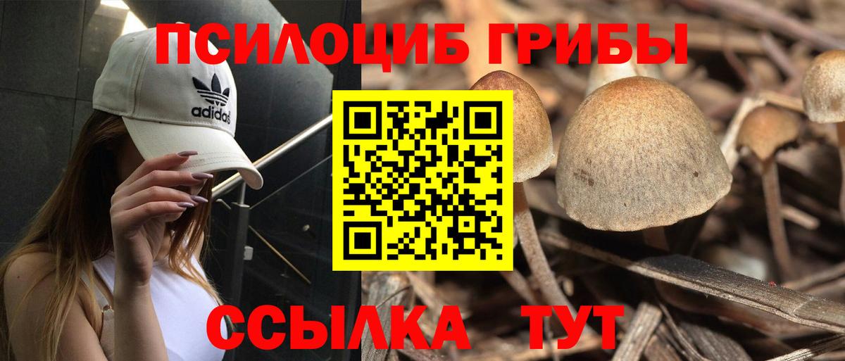 Жигулёвск  Галлюциногенные грибы мицелий  Галлюциногенные грибы Magic Shrooms  Вход с VPN 